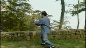 Тайцзицюань 85 (108) форма