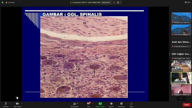 PRESENTASI DAN REVIWE PRAKTIKUM HISTOLOGI NEUROLOGY смотреть онлайн