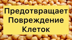 Чем Полезен НУТ?