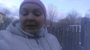 Купили поросят//новички в нашем хозяйстве