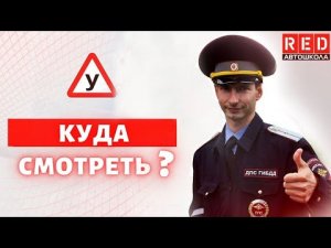 Куда смотреть водителю, чтобы избежать ДТП? Автошкола RED