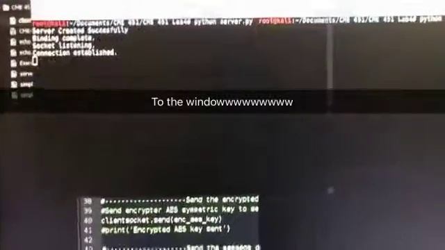 Having fun with python socket