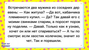 ? Сынок найди мне Бабу!Смешные анекдоты!Смех!Юмор!Подборка весёлых Анекдотов!