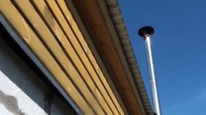 Воробей залетел через трубу в баню