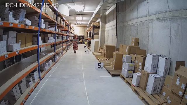 IPC-HDBW4231F-AS-DAY смотреть онлайн