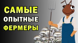 Как муравьи стали фермерами