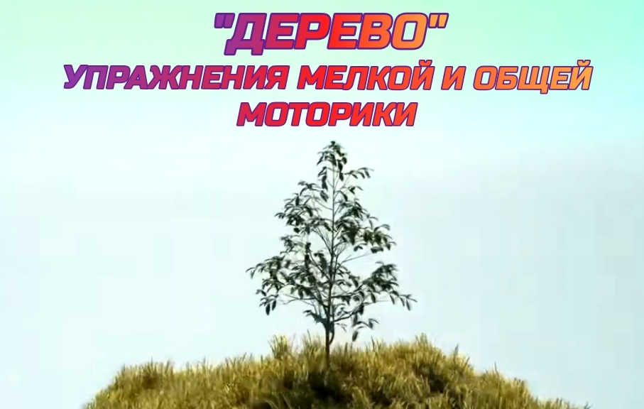 "Дерево". Закрепляем части дерева упражнениями общей и мелкой моторики.