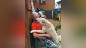 Лайки Морозова Александра Павловича.