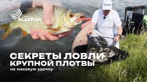 Ловля упитанной плотвы на маховую снасть
