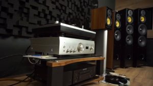 Колонки Davis Acoustics Balthus