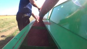 Сеем озимую пшеницу. МТЗ-892, NIKA-4.