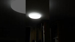 Голосовое управление светом с Алисой при помощи Яндекс пульта. как работает Яндекс пульт.