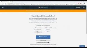 adopt openjdk