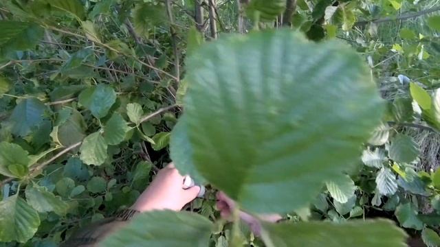 РЫБАЛКА С ЛОДКИ APACHE220 КАК ПОЙМАТЬ СУДАКА НА ЖИВЦА. #рыбалканазакидушки  #какпойматьсудака