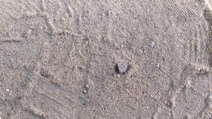 М113 стук (видео2)