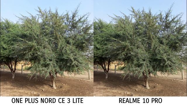 One Plus Nord Ce 3 Lite VS Realme 10 Pro Camera Test смотреть онлайн