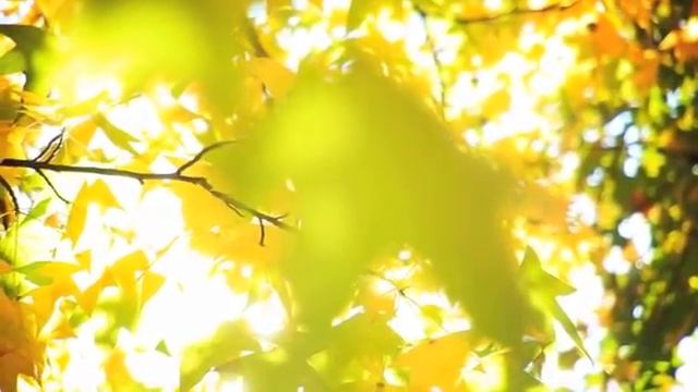 РАССТАВАНИЕ. КАК СЕБЯ ВЕСТИ ПРИ РАССТАВАНИИ? Главные ошибки женщин. Ада Кондэ смотреть онлайн