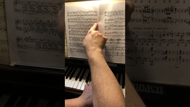 Beethoven Sonata op.13 Pathétique I- 5 Соната 8 Патетическая_ пульс, артикуляция.mp4