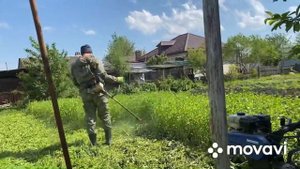 Заделываю горчицу