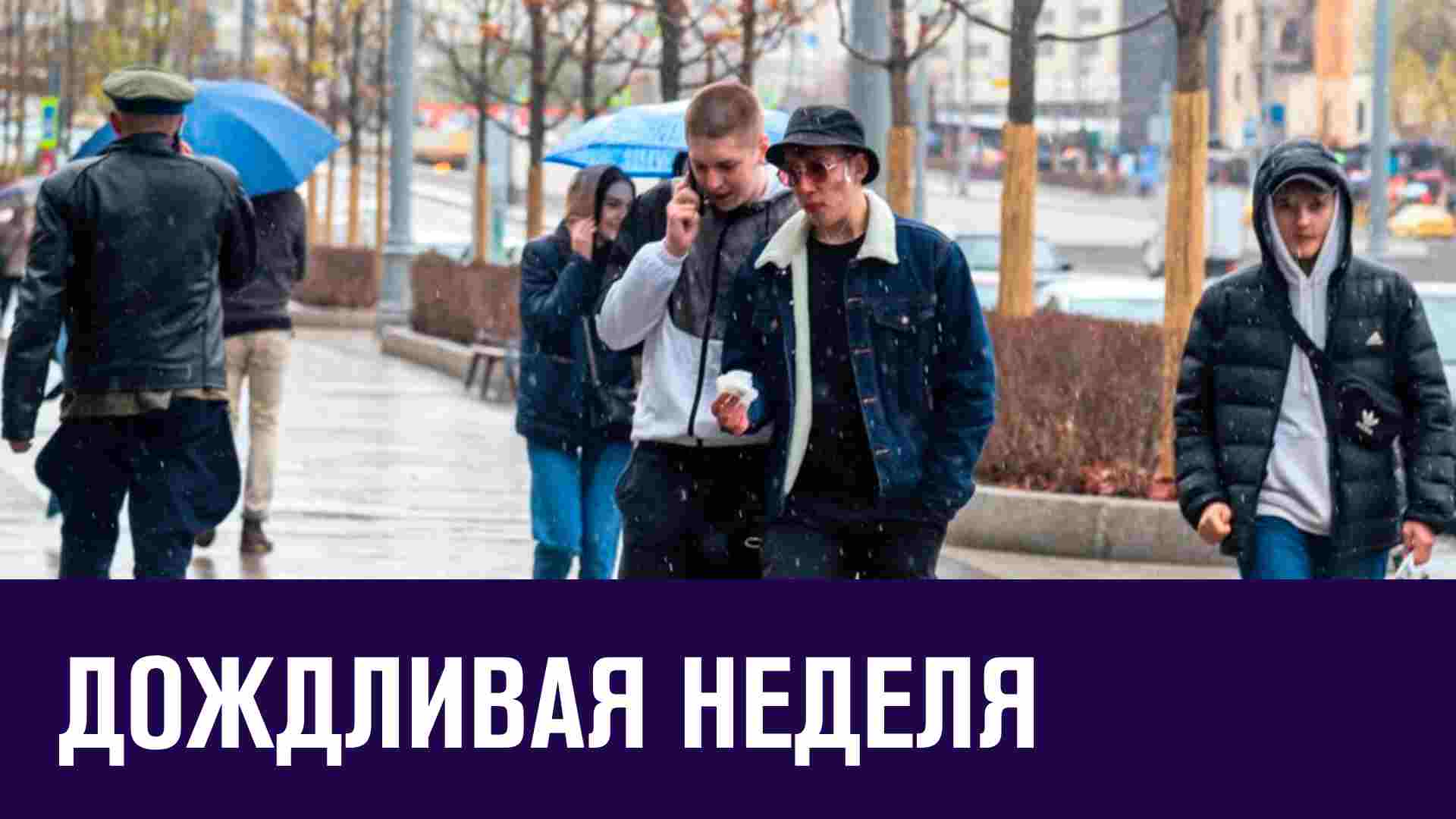 Потеплеет, но дожди не прекратятся - Москва FM