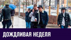 Потеплеет, но дожди не прекратятся - Москва FM