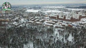 Денежный передел. Кто и под каким предлогом вырубает леса под элитные застройки. Красково. Экорейд