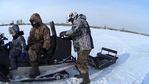 Ловля ондатры зимой на капканы КП120