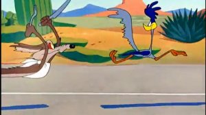Гонка Койот и спринтер - дорожный бегун