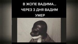 Человек дельфин мем из тик тока