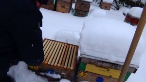 Наващивать зимой или ждать весну Не теряйте время