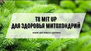 Как работают Митохондрии