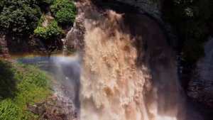 ПОЧЕМУ У РАДУГИ 7 ЦВЕТОВ ?