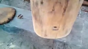 Древний улей (колода)