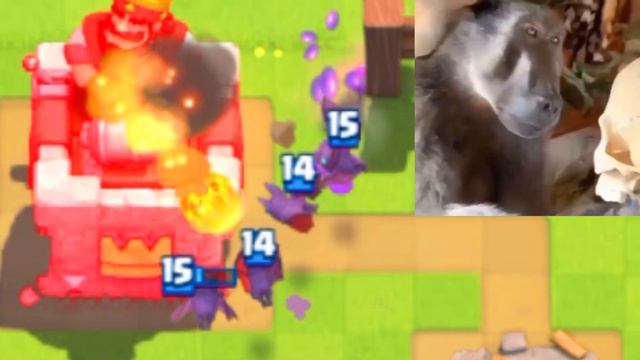 LVL 2 TRAINER VS LVL 14 BATS смотреть онлайн