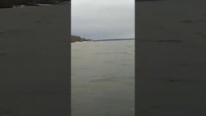 в троем на лодке 335 с мотором  гладиатор 9.9/15