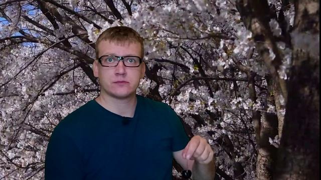 Вишня или не вишня?! Вот в чём вопрос