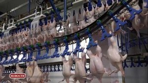 Токаревская птицефабрика