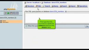 Running SQL Query on databases with phpMyAdmin