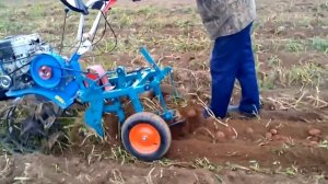 Работа мотоблока Нева с картофелекопалкой 2015 год.