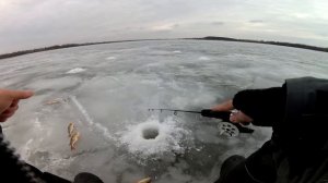 Зимняя рыбалка . Ловля крупного окуня на балансир. Рыбалка на окуня зимой . Первый лёд.