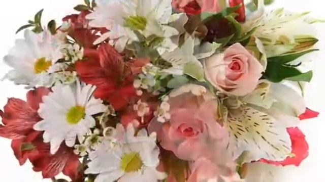 Просто жить! смотреть онлайн