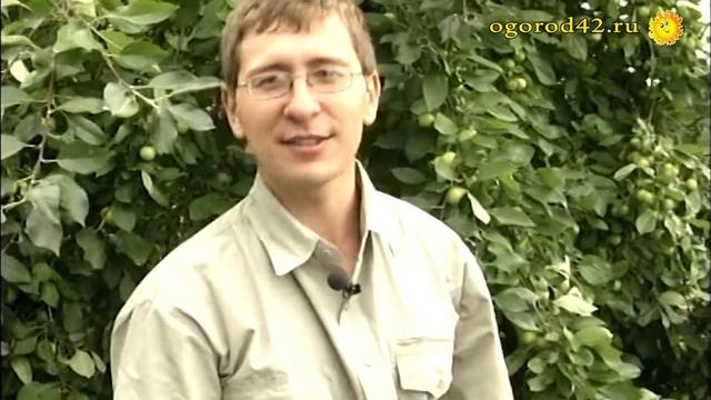 Подготовка погреба смотреть онлайн