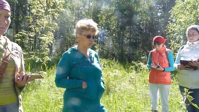 В лес с травницей. Как собирать и заваривать травы. Зопник смотреть онлайн