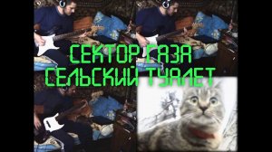 Сектор Газа - Сельский туалет (Guitar Cover)