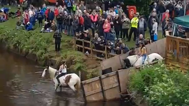 Наездницы в воде