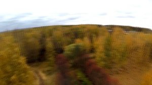 Дендропарк Кирова с высоты птичьего полета