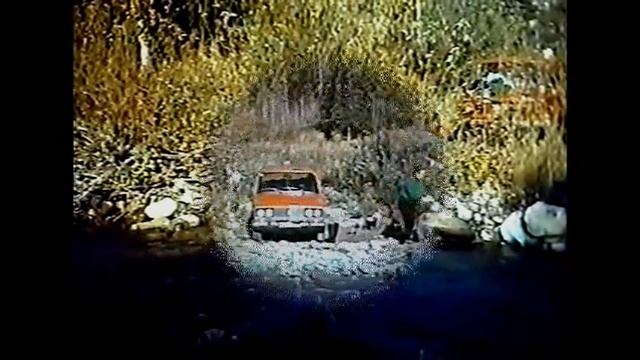 Восточный Казахстан. Сбор грибов. смотреть онлайн