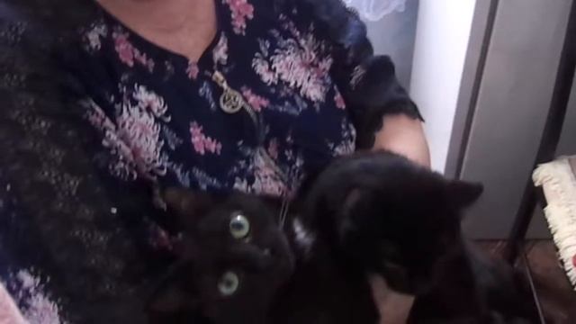 VLOG: КАКОЙ СЮРПРИЗ ПРИГОТОВИЛ ПАПА? 15.05.2020 г. смотреть онлайн