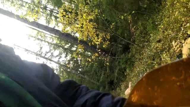 СОБРАЛ ВСЕ ГРИБЫ В ЛЕСУ смотреть онлайн