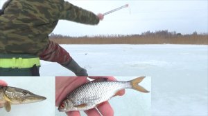 Удачная зимняя рыбалка в глухозимье! Плотва и щука не спят! 47 серия